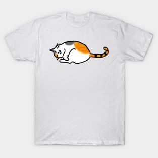 Comfy Calico Cat T-Shirt